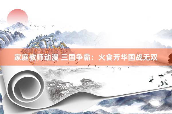家庭教师动漫 三国争霸：火食芳华国战无双