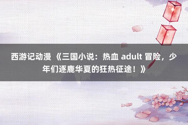西游记动漫 《三国小说：热血 adult 冒险，少年们逐鹿华夏的狂热征途！》